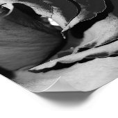 Elegant Black and White Rose Photo Poster (Hoek)