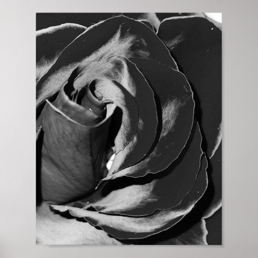 Elegant Black and White Rose Photo Poster (Voorkant)