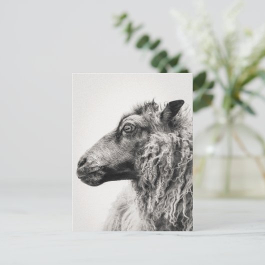 Elegant Black and White Sheep Profile Postcard Briefkaart (Staand voorkant)