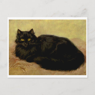 Elegant Black Persian Cat Portret Briefkaart