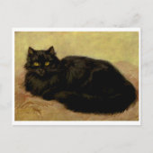  Elegant Black Persian Cat Portret Briefkaart (Voorkant)