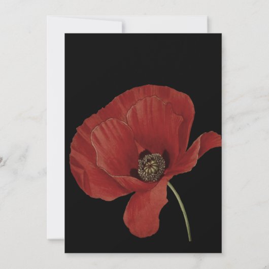 Elegant Black Red Poppy Wedding Save the Date (Achterkant)