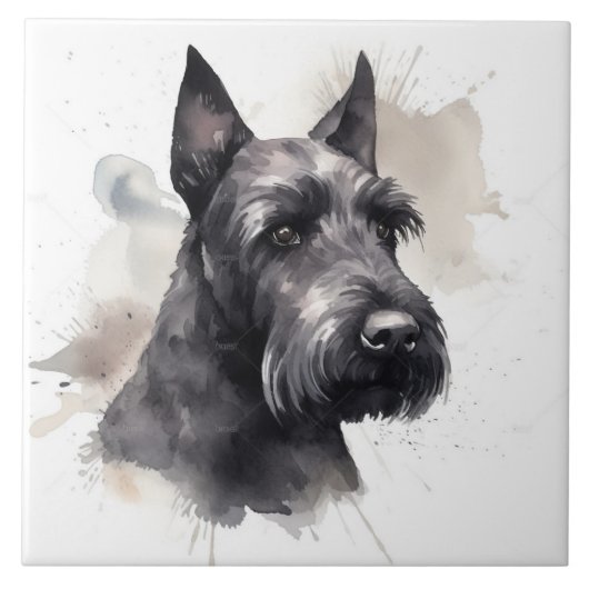 Elegant Black Scottish Terrier Dog Pet Tegeltje (Voorkant)