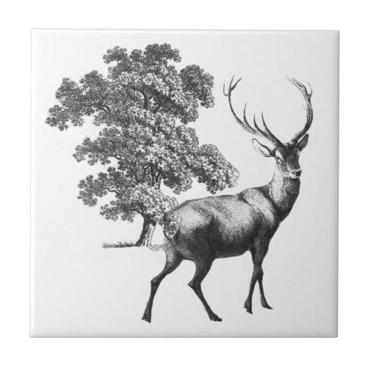 Elegant  Black White Deer Toile Tegeltje (Voorkant)