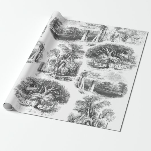 Elegant Black White English country toile Cadeaupapier (Uitgerold)