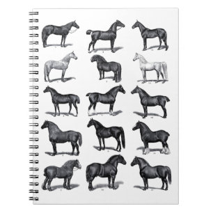 Elegant Black White Equestrian  Horse Notitieboek