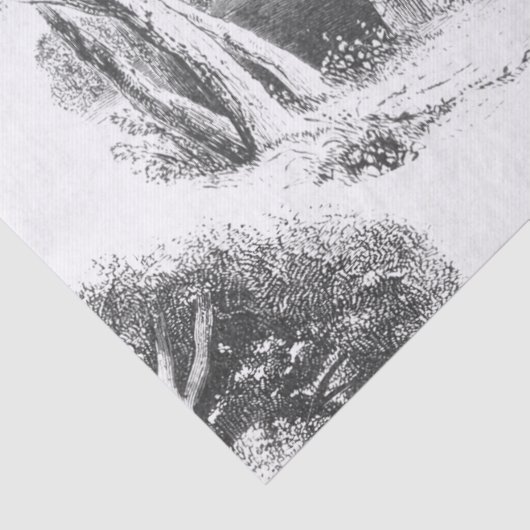 Elegant Black White Forest Toile Tissuepapier (Detail)