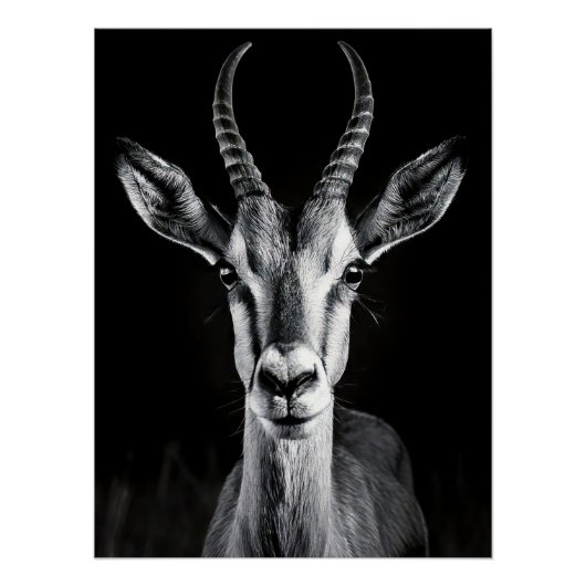 Elegant Black & White Gazelle Fine Art Photo Perfect Poster (Voorkant)
