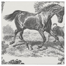 Elegant Black White Rustic Horses Toile