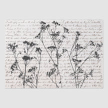 Elegant Black Wildflower Silhouettes Old Script