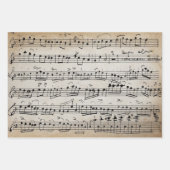 Elegant  blad Muzieknoten Kraft Inpakpapier Vel (Voorkant 3)