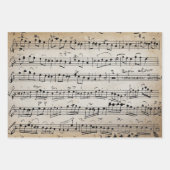 Elegant  blad Muzieknoten Kraft Inpakpapier Vel (Voorkant 2)