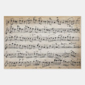 Elegant  blad Muzieknoten Kraft Inpakpapier Vel (Voorkant)