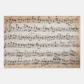 Elegant  blad Muzieknoten Kraft Inpakpapier Vel (Voorkant 2)