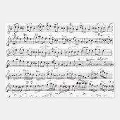 Elegant  blad Muzieknoten Kraft Inpakpapier Vel (Voorkant 3)