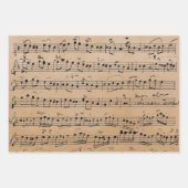 Elegant  blad Muzieknoten Kraft Inpakpapier Vel (Voorkant)