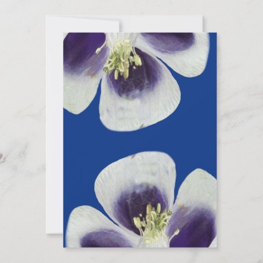 Elegant Blauw Bloemen RSVP Fotokaart, Script Kaart (Achterkant)