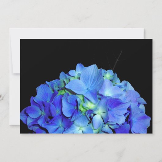Elegant blauw bloemenblauw rozen blauw hortensia's kaart (Achterkant)