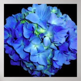 Elegant blauw bloemenblauw rozen blauw hortensia's poster