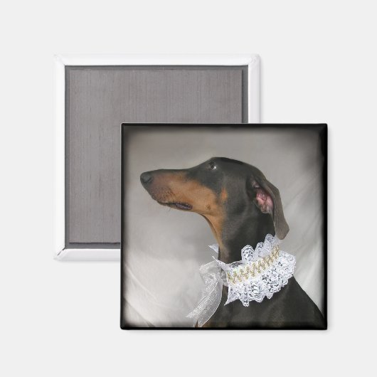 Elegant blauw Doberman Pinscher Magneet (Voorkant / Achterkant)