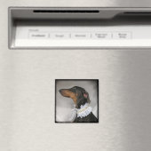 Elegant blauw Doberman Pinscher Magneet (Insitu (Vaatwasser))