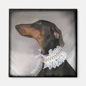 Elegant blauw Doberman Pinscher Magneet (Voorkant)