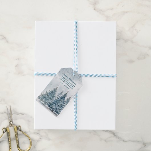Elegant Blauw en zilver Winter Wonderland Cadeaulabel (Met Touw)