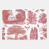 Elegant  Blauw Land Pastorale Toile 3 Inpakpapier Vel (Voorkant)