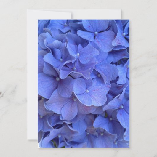 Elegant Blauw maagdenpalm floraal Vrijgezellenfees Kaart (Achterkant)