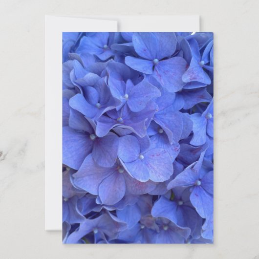 Elegant Blauw maagdenpalm floraal Vrijgezellenfees Kaart (Achterkant)