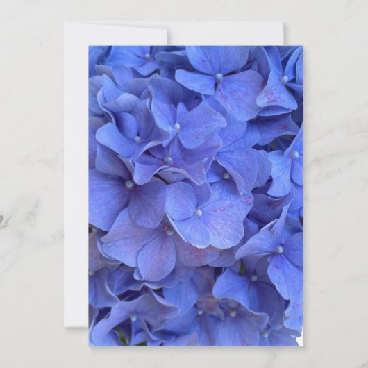 Elegant Blauw maagdenpalm floraal Vrijgezellenfees Kaart (Achterkant)