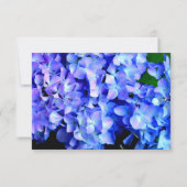 Elegant blauw paarse bloemen hortensia's RSVP kaartje (Achterkant)