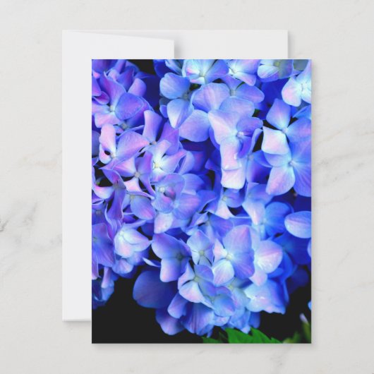 Elegant blauw paarse bloemen hortensia's save the date (Achterkant)