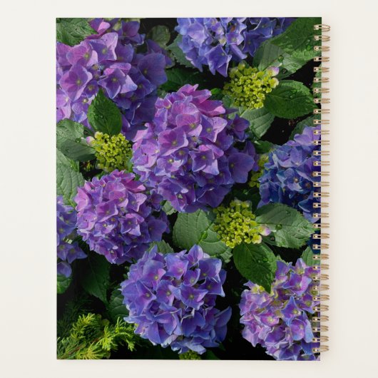 Elegant blauw paarse magenta groene bloemenhortens planner (Achterkant)