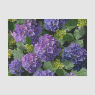 Elegant blauw paarse magenta groene bloemenhortens tissuepapier