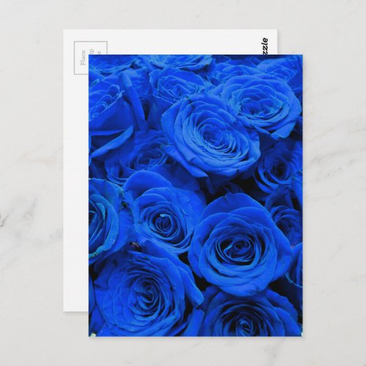 Elegant blauw roos blauw bloemblauw briefkaart (Voorkant / Achterkant)