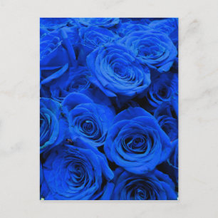 Elegant blauw roos blauw bloemblauw briefkaart