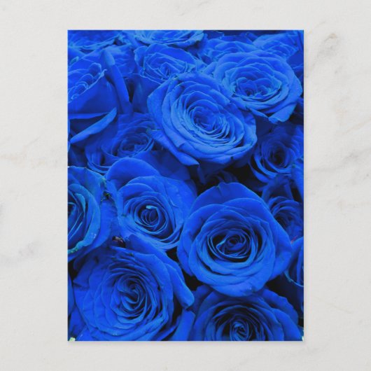 Elegant blauw roos blauw bloemblauw briefkaart (Voorkant)