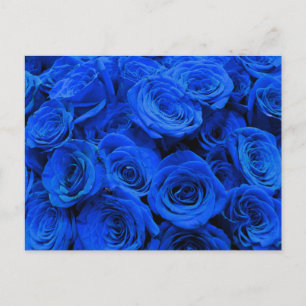 Elegant blauw roos blauw bloemblauw briefkaart