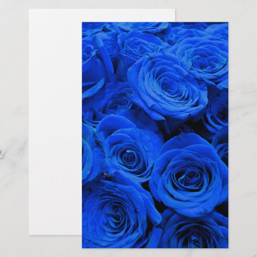 Elegant blauw roos blauw bloemblauw briefpapier (Voorkant / Achterkant)