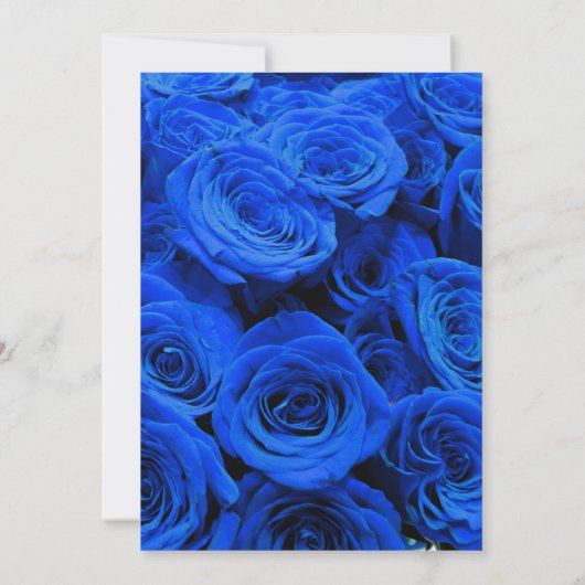 Elegant blauw roos blauw bloemblauw kaart (Achterkant)