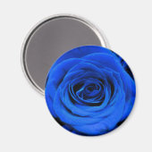 Elegant blauw roos blauw bloemblauw magneet (Voorkant / Achterkant)