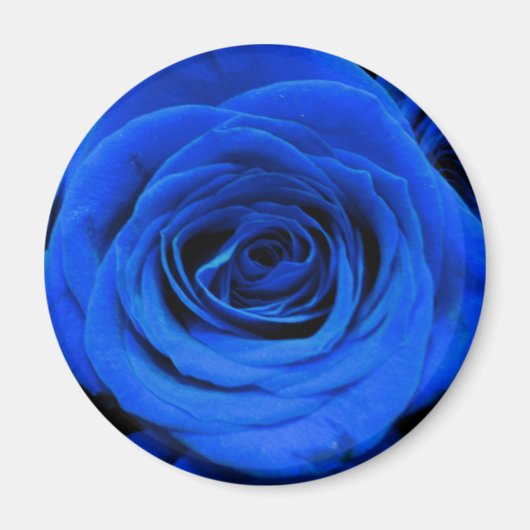 Elegant blauw roos blauw bloemblauw magneet (Voorkant)