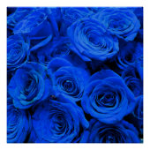 Elegant blauw roos blauw bloemblauw poster (Voorkant)