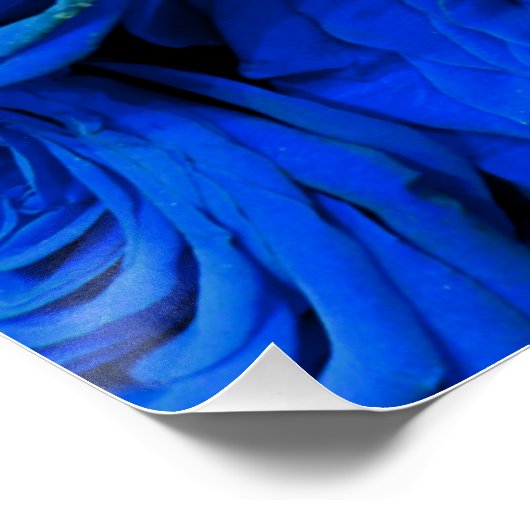 Elegant blauw roos blauw bloemblauw poster (Hoek)