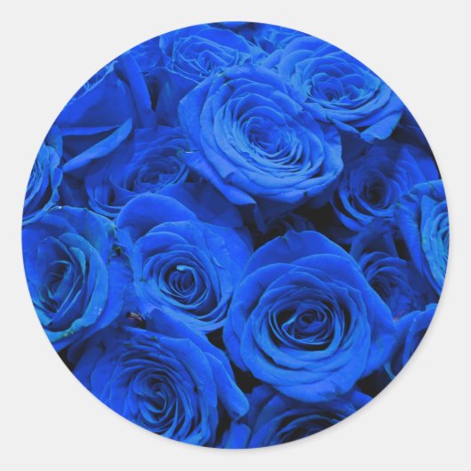 Elegant blauw roos blauw bloemblauw ronde sticker (Voorkant)
