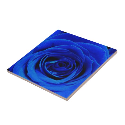 Elegant blauw roos blauw bloemblauw tegeltje (Zijkant)