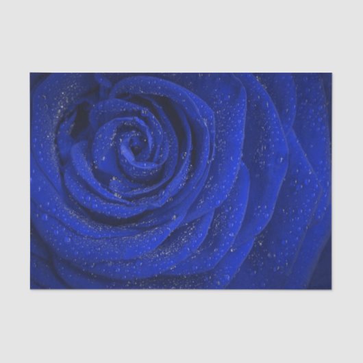 Elegant blauw roos bloempapier tissuepapier (Voorkant)