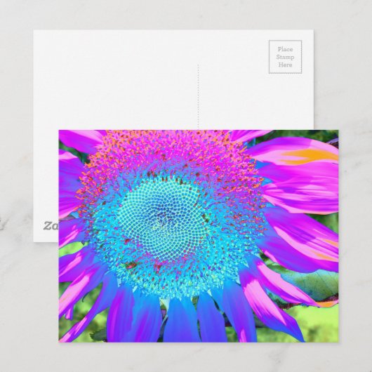 Elegant Blauw roze paarse retro zonnebloem Briefkaart (Voorkant / Achterkant)