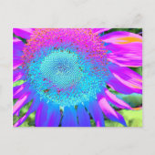 Elegant Blauw roze paarse retro zonnebloem Briefkaart (Voorkant)